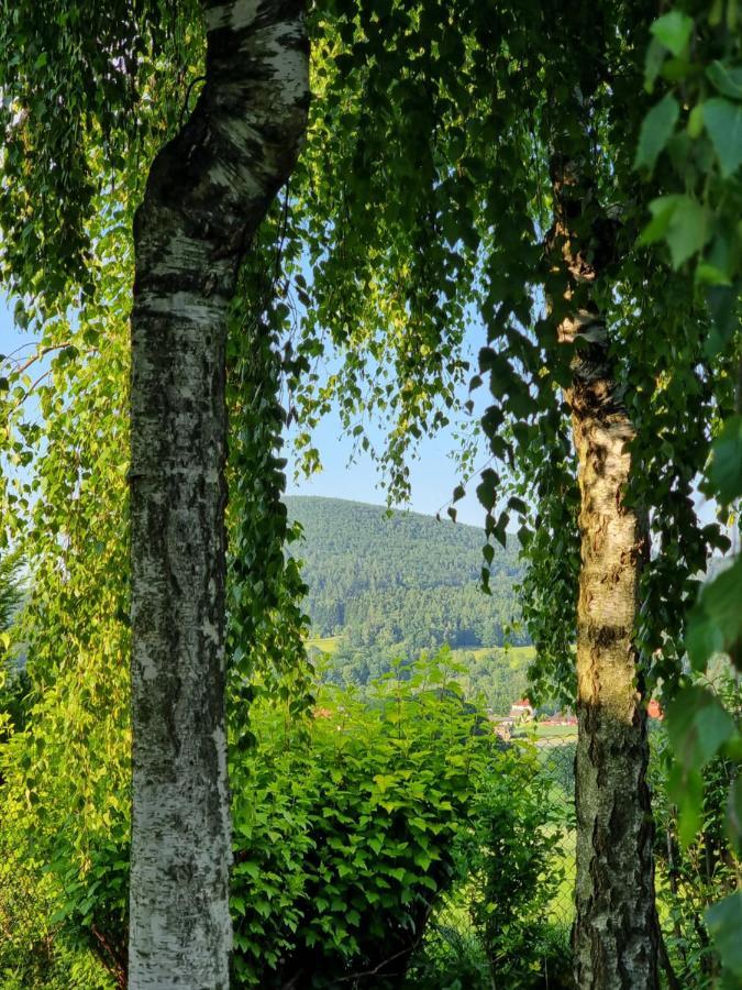 Naszjestwasz Villa Gorki Male  Eksteriør bilde